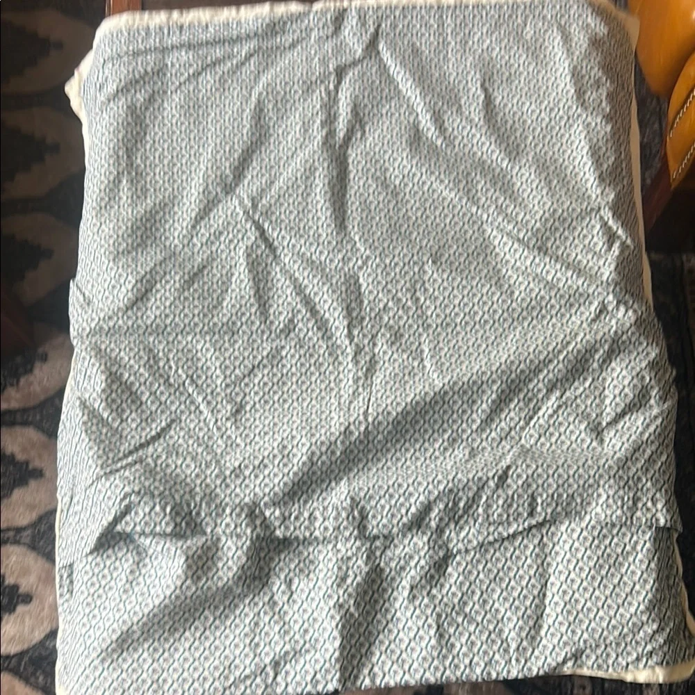 Pottery Barn euro sham x 2